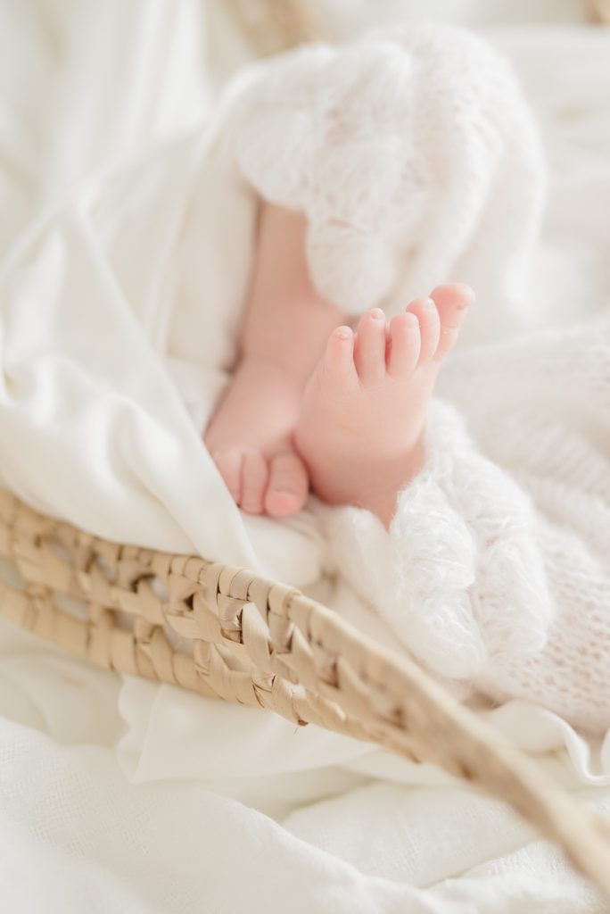 austin newborn photographer