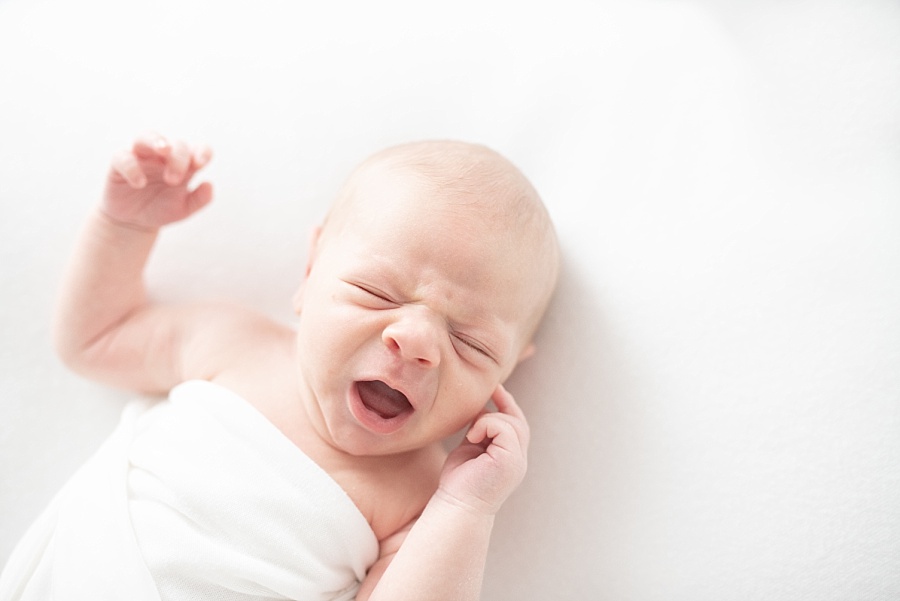 Austin Newborn Portraits