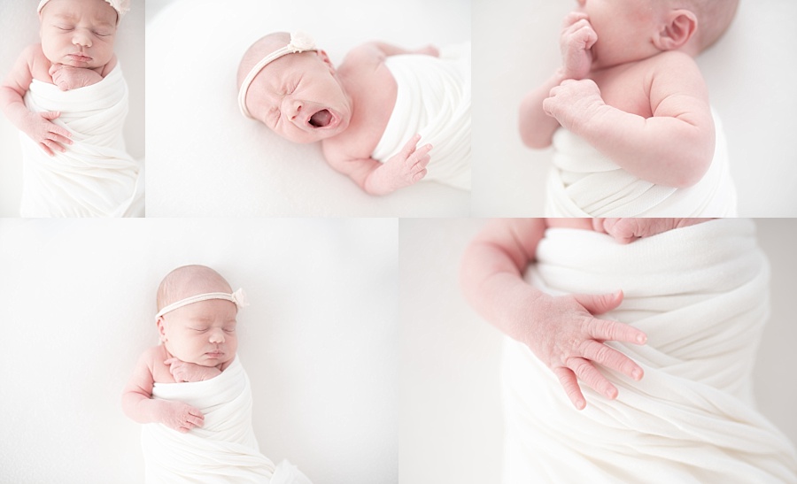 Newborn and Family Portraits in Austin