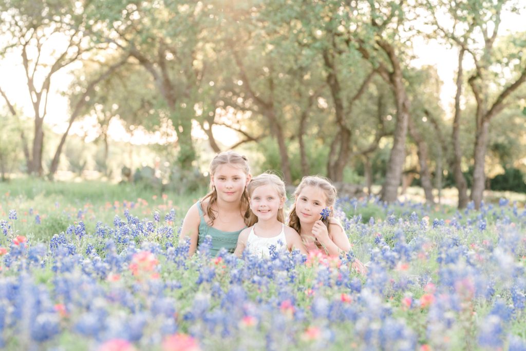 austin bluebonnet photos how to take wildflower photos