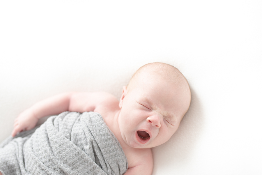 ausitn newborn photographer