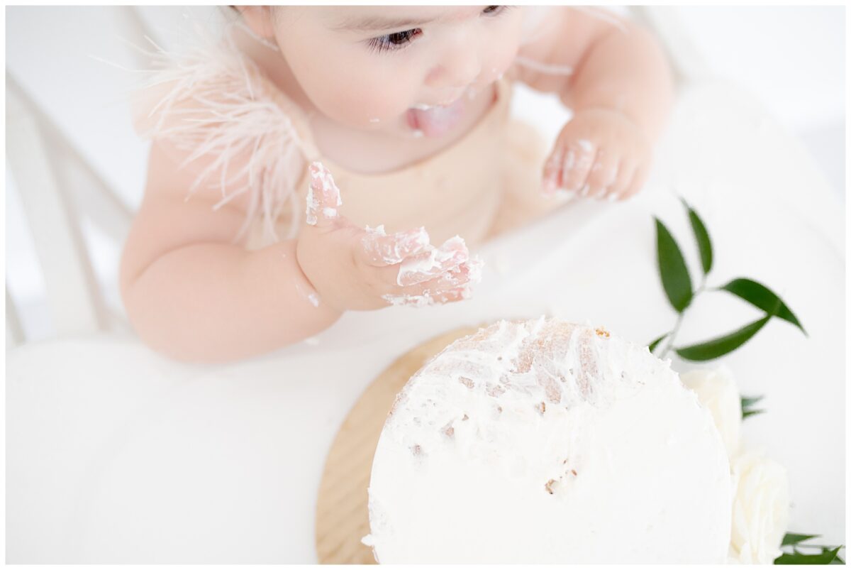 Cake smash first birthday session